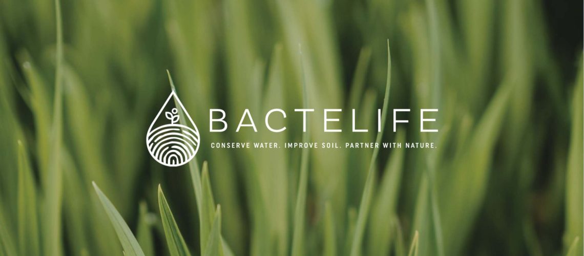 bactelife-presentation-cover_Page_01